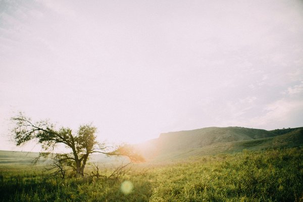 Les incontournables d'un safari en tanzanie à ne pas rater